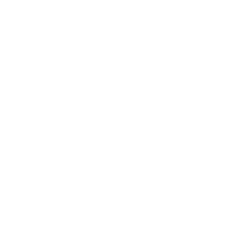 Citroen Service